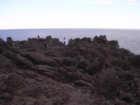 城ヶ崎海岸の絶壁